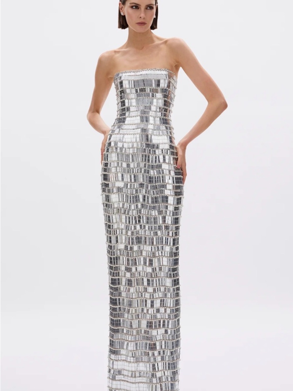 Rachel Gilbert Silver Strapless Sequin Column Gown